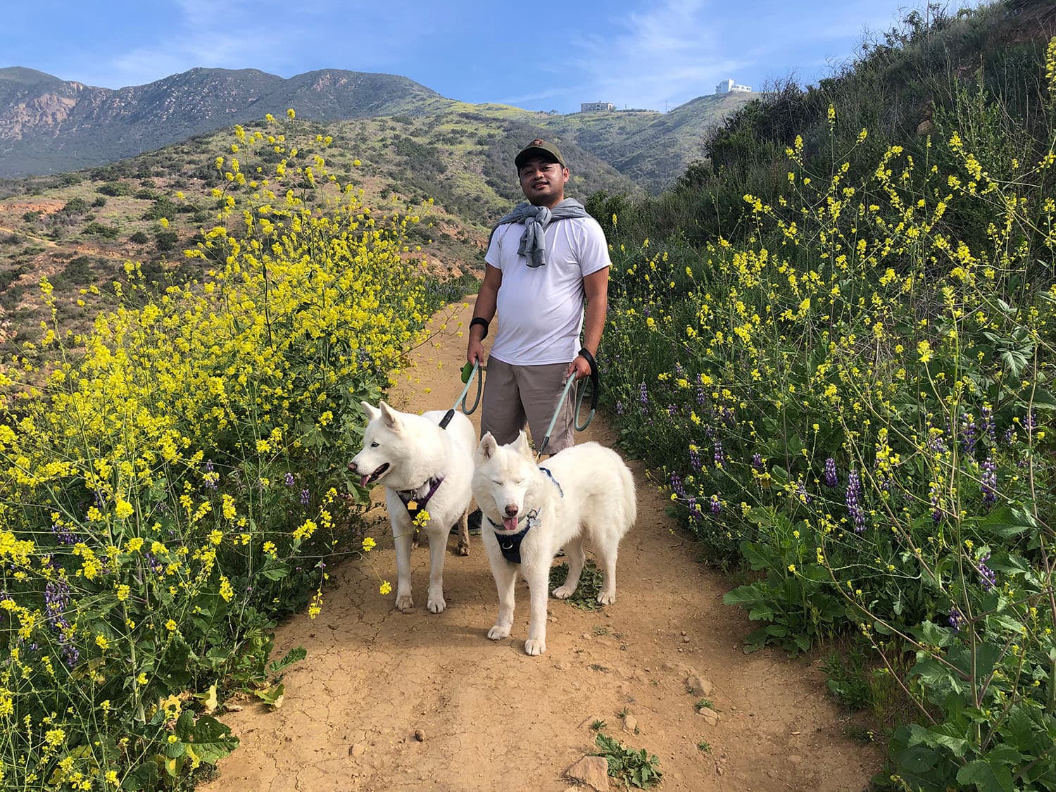 Jay hiking in malibu with siberian husky dogs